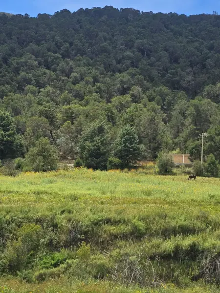 Terreno en venta en San Antonio de las Alazanas, Arteaga — foto 2 de 5