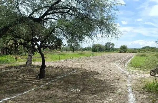 Terreno en venta en La Cieneguita, San Miguel de Allende — foto 2 de 5