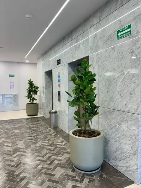 Consultorio en renta en Las Villas, Torreón — foto 3 de 16