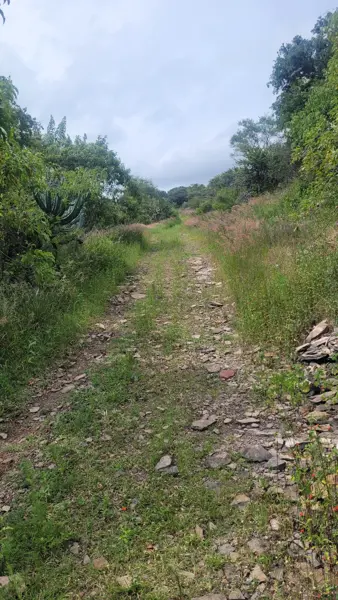 Terreno en venta en La Magdalena, San Juan del Río — foto 2 de 17