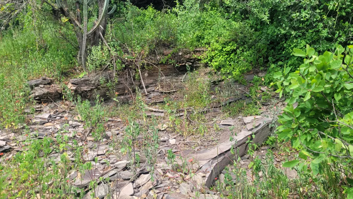 Terreno en venta en La Magdalena, San Juan del Río — foto 1 de 17