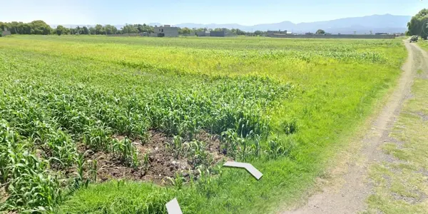 Terreno en venta en San Lucas Tunco, Metepec — foto 2 de 8