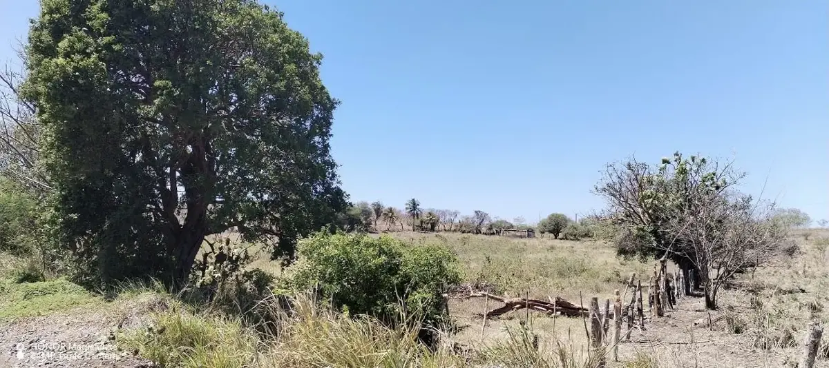 Terreno en venta en Vargas, Veracruz — foto 1 de 4