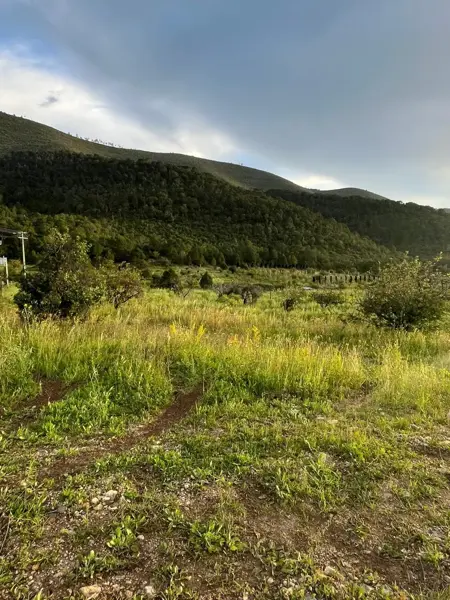 Terreno en venta Campestre a 5 min de (SAN ANTONIO DE LAS ALAZANAS )