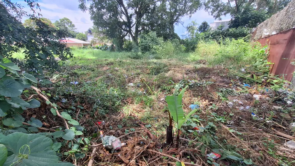 Terreno en venta en Peñuela, Amatlán de los Reyes — foto 1 de 7