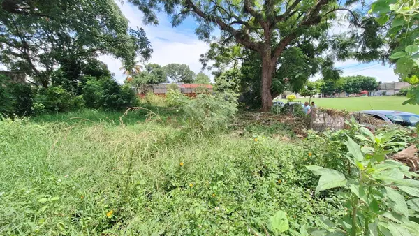 Terreno en venta en Peñuela, Amatlán de los Reyes — foto 2 de 7