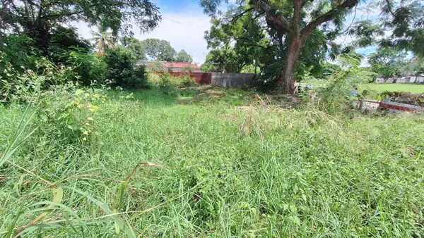 Terreno en venta en Peñuela, Amatlán de los Reyes — foto 3 de 7