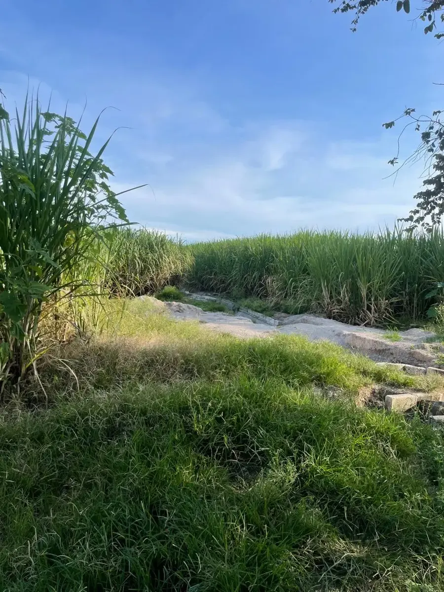 Terreno en venta en Lazaro Cardenas, Zacatepec — foto 1 de 4