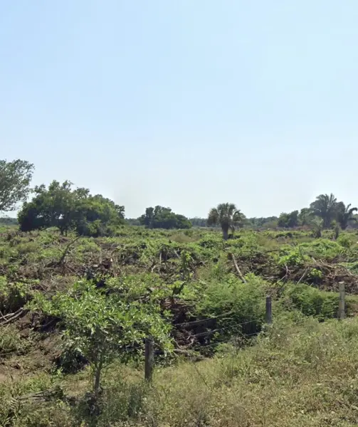 TERRENO VENTA SUPERFICIE DE 12500M2 EN LA LOCALIDAD DE PASO DEL TORO, MPIO DE MEDELLIN VERACRUZ
