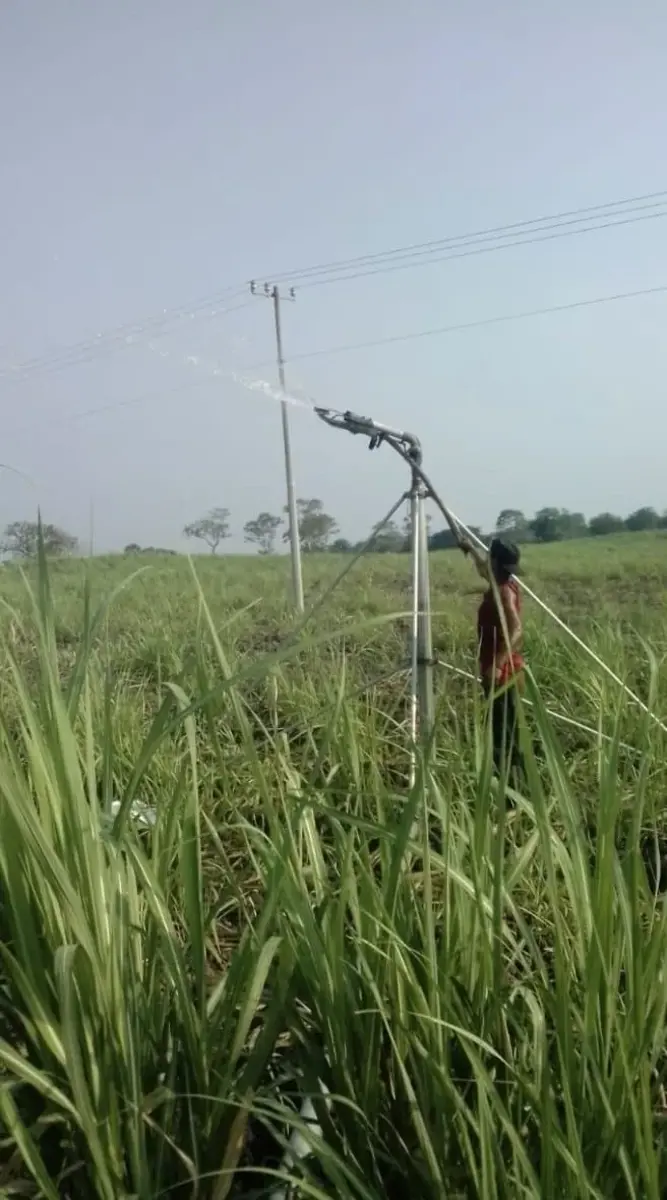 Terreno en venta en El Porvenir, Tierra Blanca — foto 1 de 18