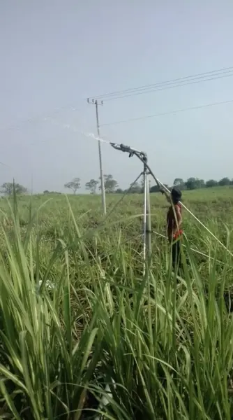 350 Hectares en venta Tierra Blanca, Veracruz - Zona Cuenca del Papaloapan