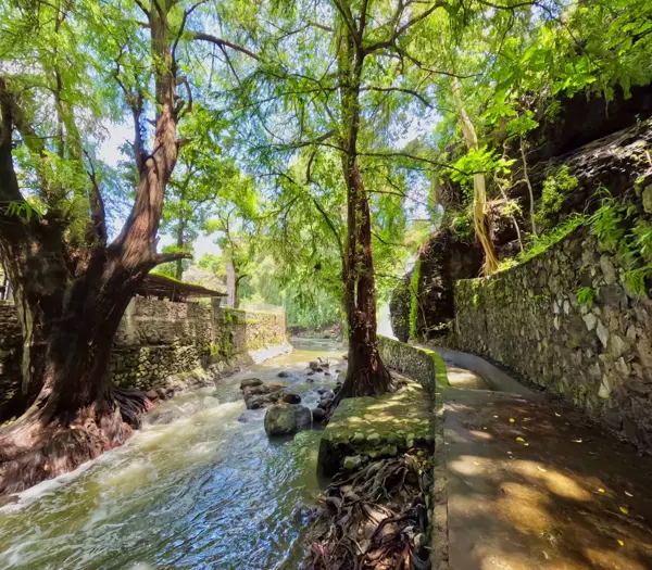 Casa en venta en Junto al Río, Temixco — foto 3 de 18