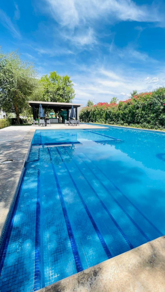 Casa en renta en Arborea, Ramos Arizpe — foto 2 de 18