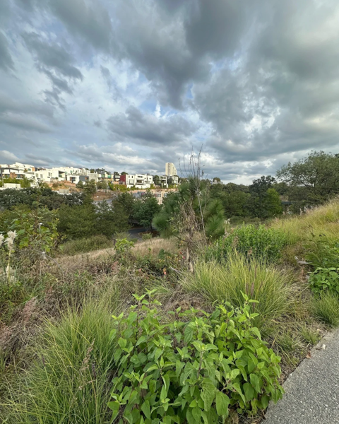 Terreno en venta en Bosque Monarca, Morelia — foto 2 de 6
