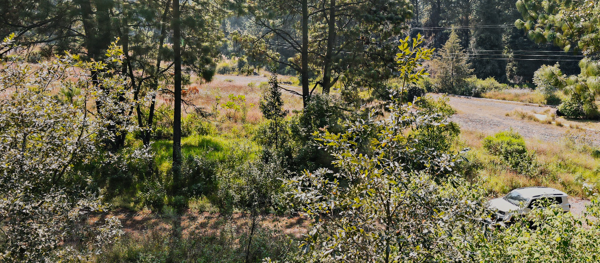 Terreno en venta en Avandaro, Valle de Bravo — foto 2 de 11