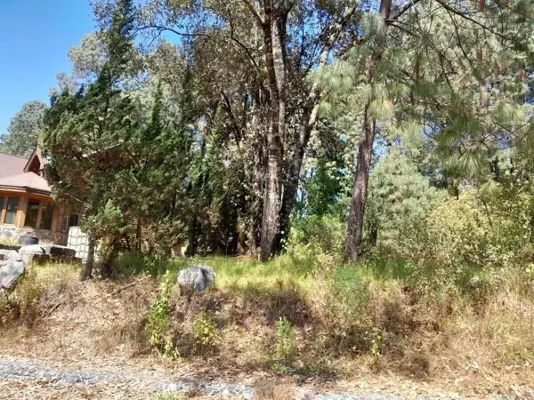 Terreno en venta en Avandaro, Valle de Bravo — foto 3 de 11