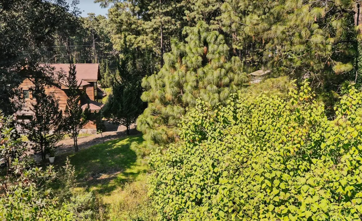 Terreno en venta en Avandaro, Valle de Bravo — foto 1 de 11