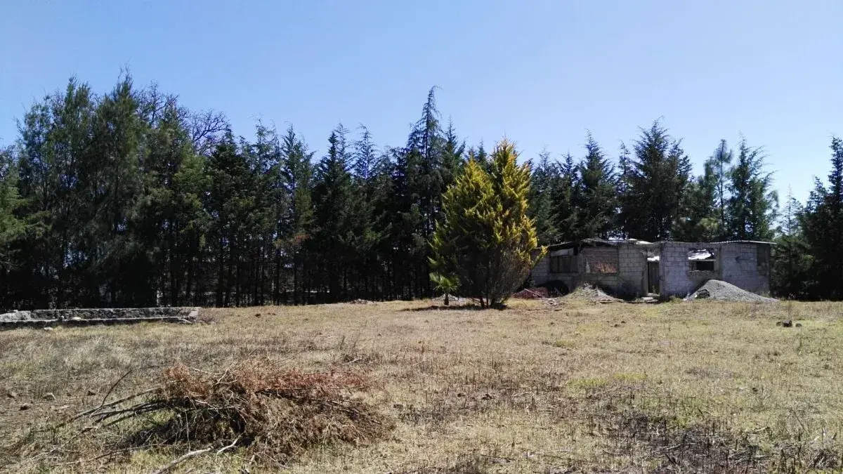 Terreno en venta en Huasca de Ocampo Centro, Huasca de Ocampo — foto 1 de 13