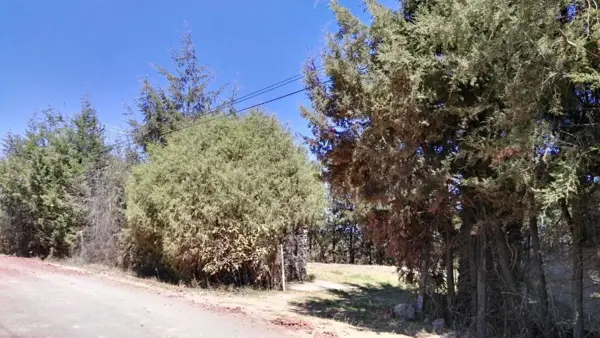 Terreno en venta en Huasca de Ocampo Centro, Huasca de Ocampo — foto 3 de 13