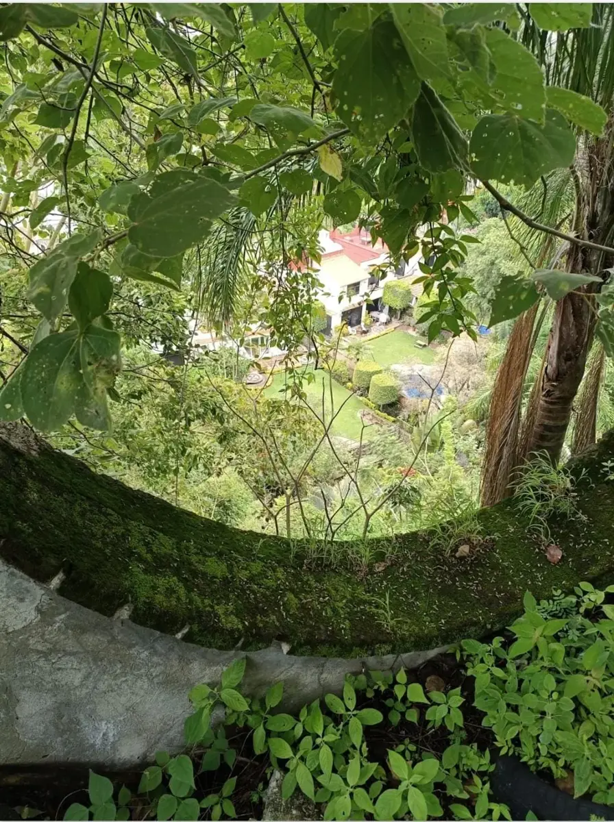 Terreno en venta en Rancho Tetela, Cuernavaca — foto 1 de 3
