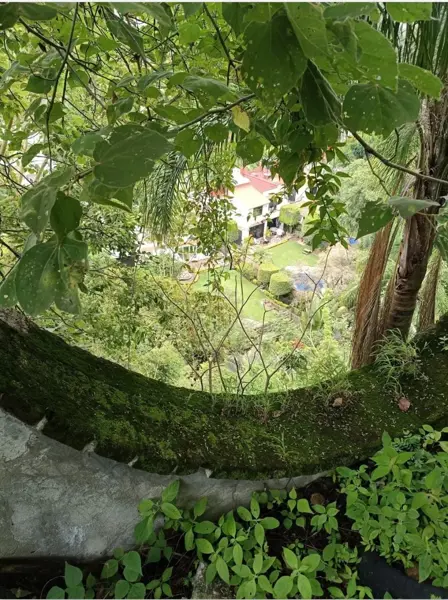 Terrenos en venta en Cuernavaca.