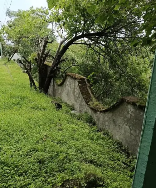 Terreno en venta en Rancho Tetela, Cuernavaca — foto 2 de 3