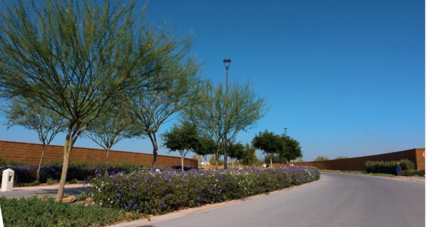 Terreno en venta en El Cardenchal, Torreón — foto 2 de 9