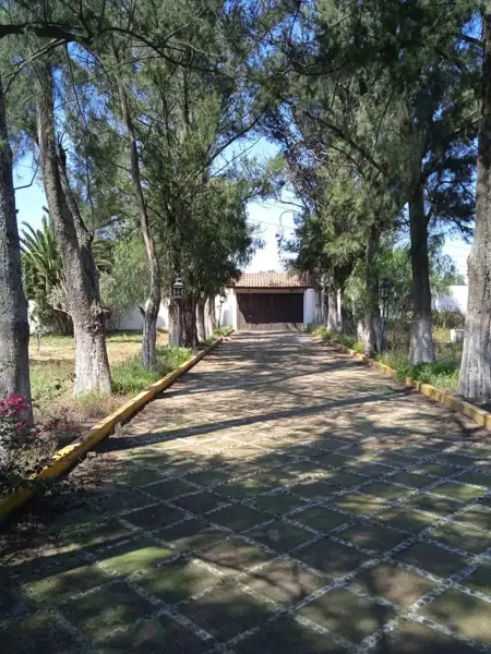 Terreno en venta en San Andrés Chiautla Centro, Chiautla — foto 2 de 5