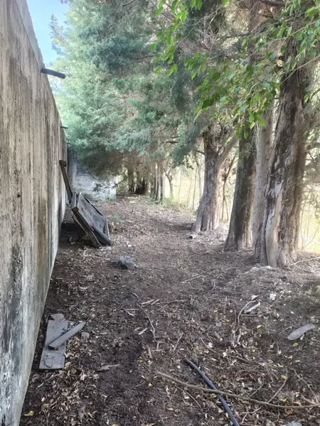 Bodega en venta en Huejotengo (San Marcos), Ocuituco — foto 3 de 9