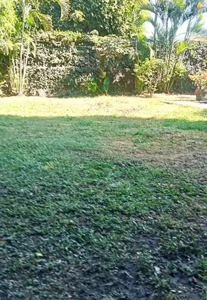 Terreno en venta en Delicias, Cuernavaca — foto 2 de 6