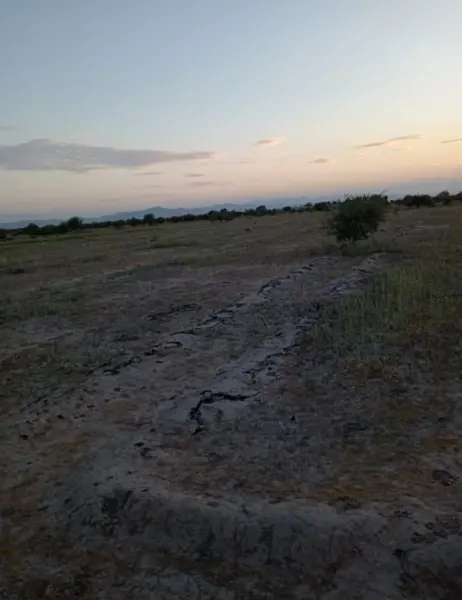 Terreno en venta en La Concha, Torreón — foto 2 de 3