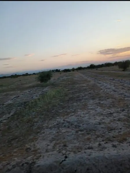 Terreno en venta en La Concha, Torreón — foto 3 de 3