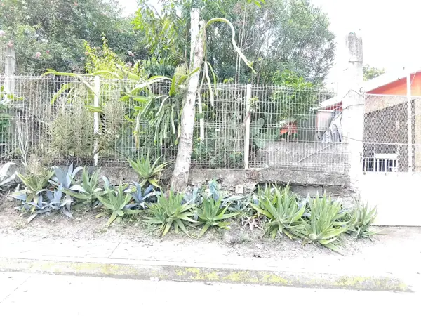 Casa en renta en Coatzintla Centro, Coatzintla — foto 2 de 37