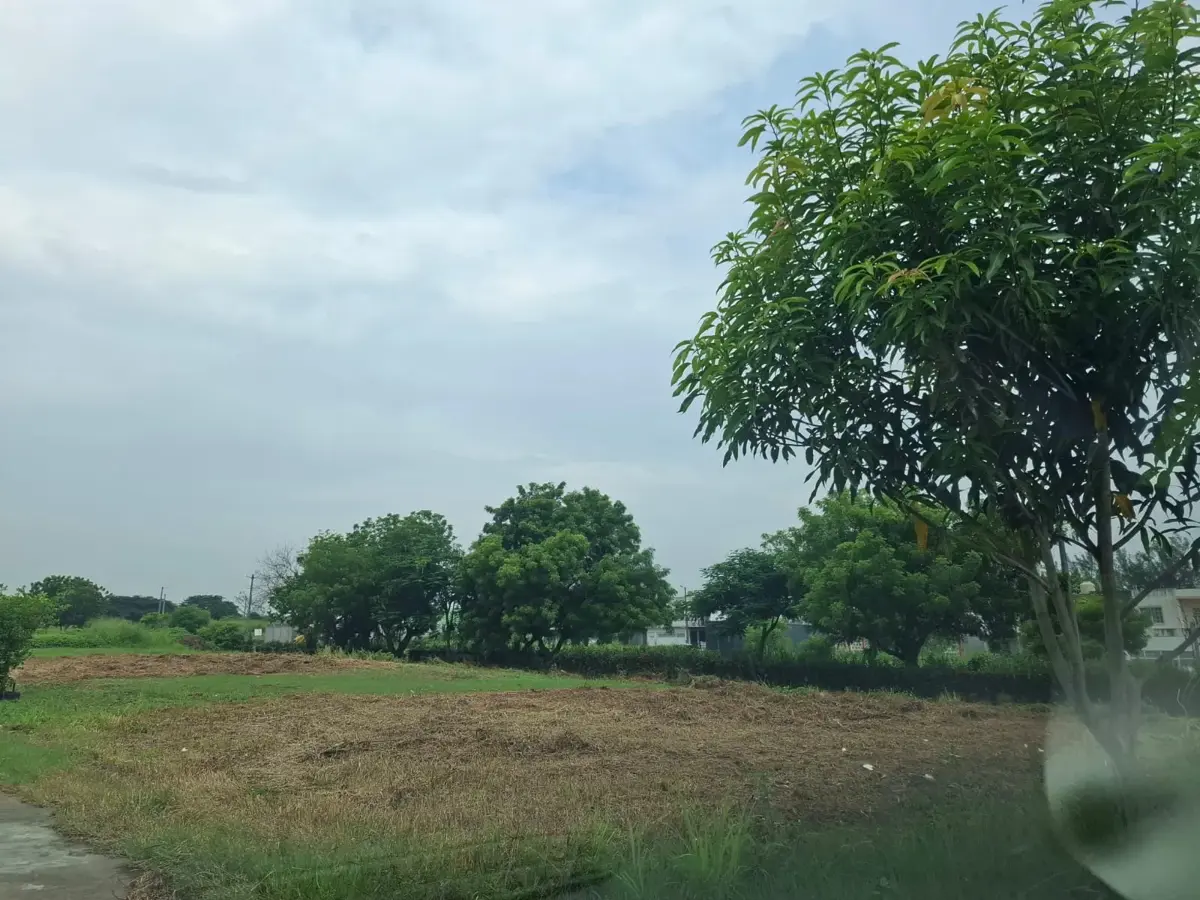 Terreno en venta en Residencial del Bosque, Veracruz — foto 1 de 6