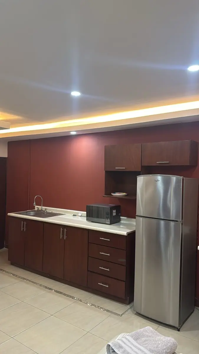 Vista 2 de DEPARTAMENTO AMUEBLADO EN RENTA EN AMPLIACIÓN LA ROSITA TORREÓN, COAHUILA