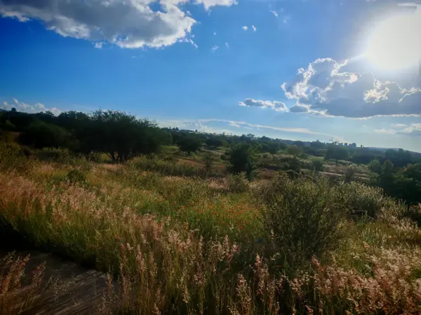 Terreno en venta en El Encino, Huimilpan — foto 3 de 8