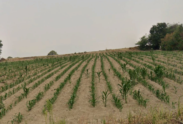 Terreno en venta en San Marcos de la Cruz, Calimaya — foto 2 de 2