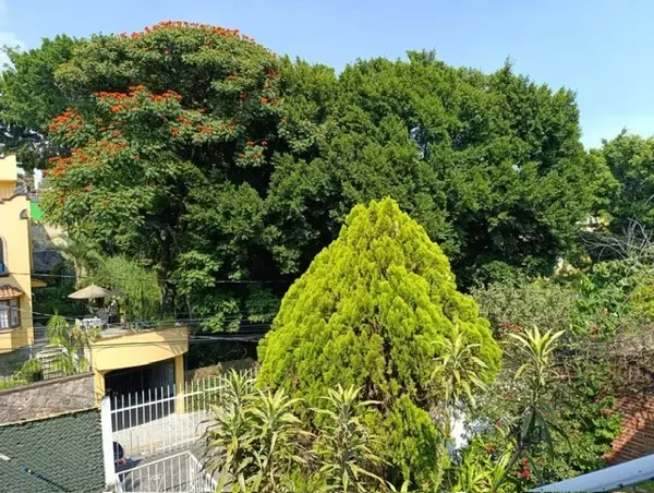 Casa en venta en Lomas de San Anton, Cuernavaca — foto 3 de 20