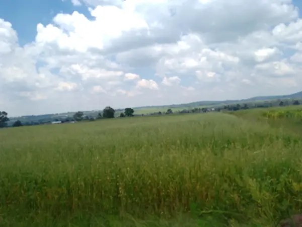4000 metros de terreno de campo Aculco 550 mil 4000 metros de terreno de campo Aculco 550 mil