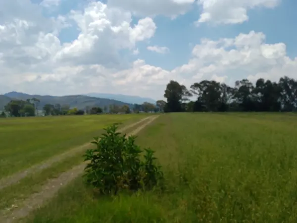 Terreno en venta en Las Ánimas, Aculco — foto 2 de 5