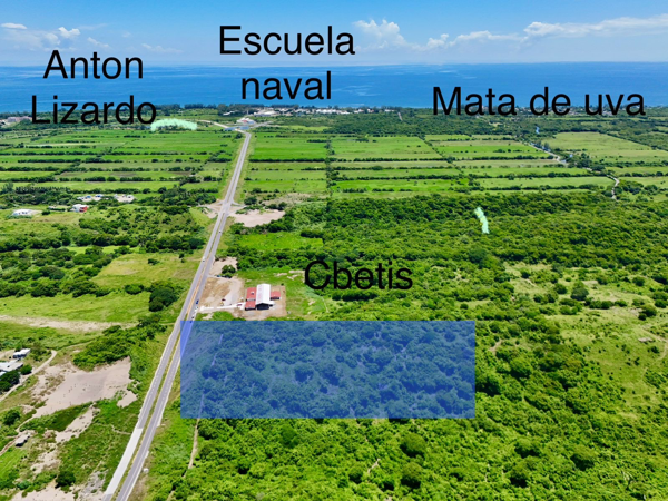Terreno en venta en Anton Lizardo, Alvarado — foto 2 de 4