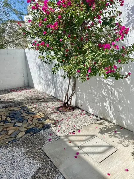 Casa en venta en Residencial Senderos, Torreón — foto 3 de 19