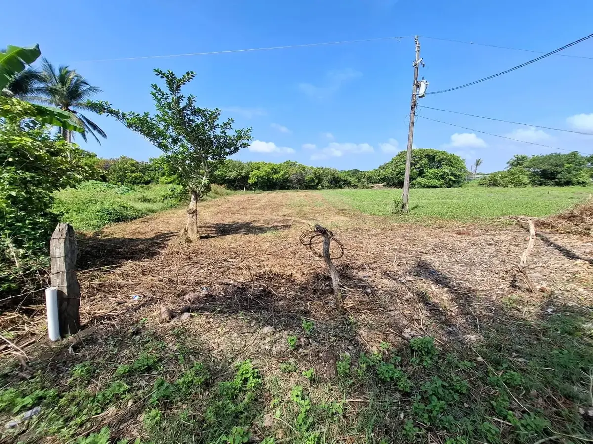 Terreno en venta en El Zapote, Alvarado — foto 1 de 12