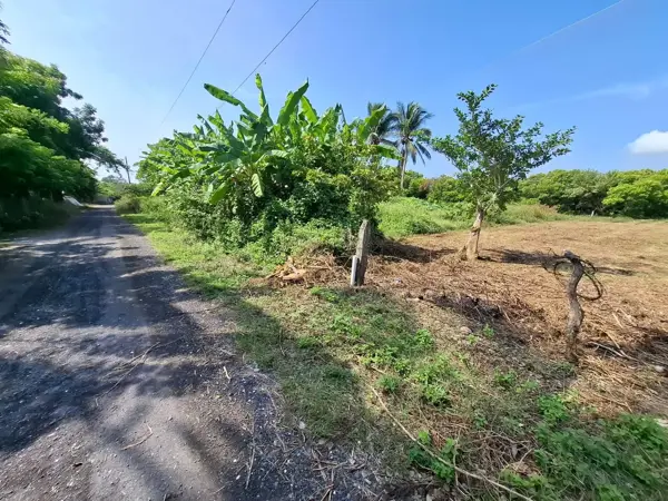 Terreno en venta en El Zapote, Alvarado — foto 3 de 12