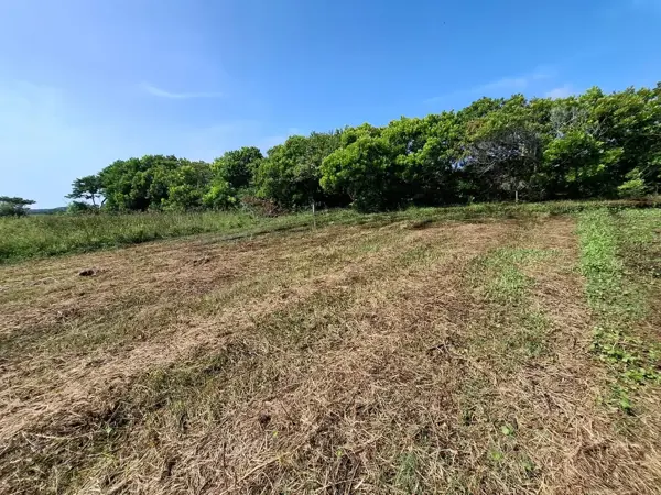 Terreno en venta en El Zapote, Alvarado — foto 2 de 12