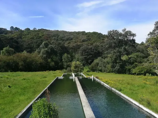 Finca-Rancho en venta en Cieneguillas de González (Cieneguillas), Temascaltepec — foto 3 de 8