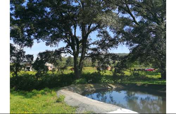Finca-Rancho en venta en San Bartolo Morelos Centro, Morelos — foto 3 de 11
