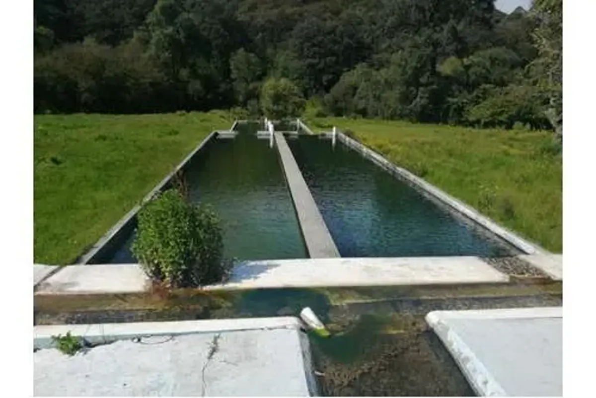 Finca-Rancho en venta en San Bartolo Morelos Centro, Morelos — foto 1 de 11