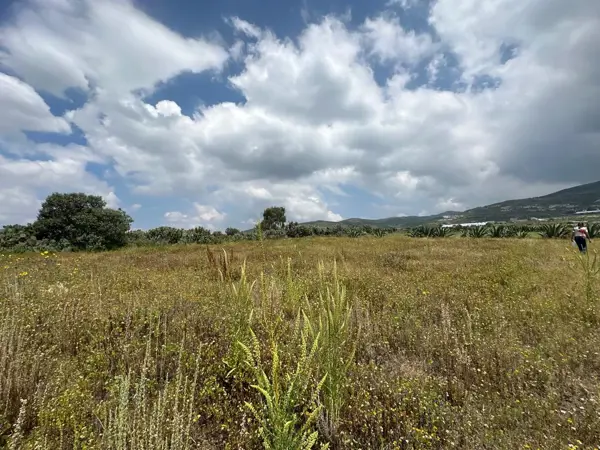 Terreno en venta en San Juan Tilcuautla, San Agustín Tlaxiaca — foto 2 de 17