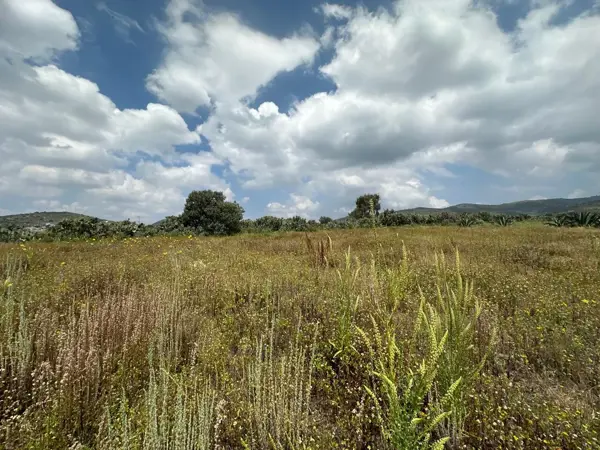 Terreno en venta en San Juan Tilcuautla, San Agustín Tlaxiaca — foto 3 de 17